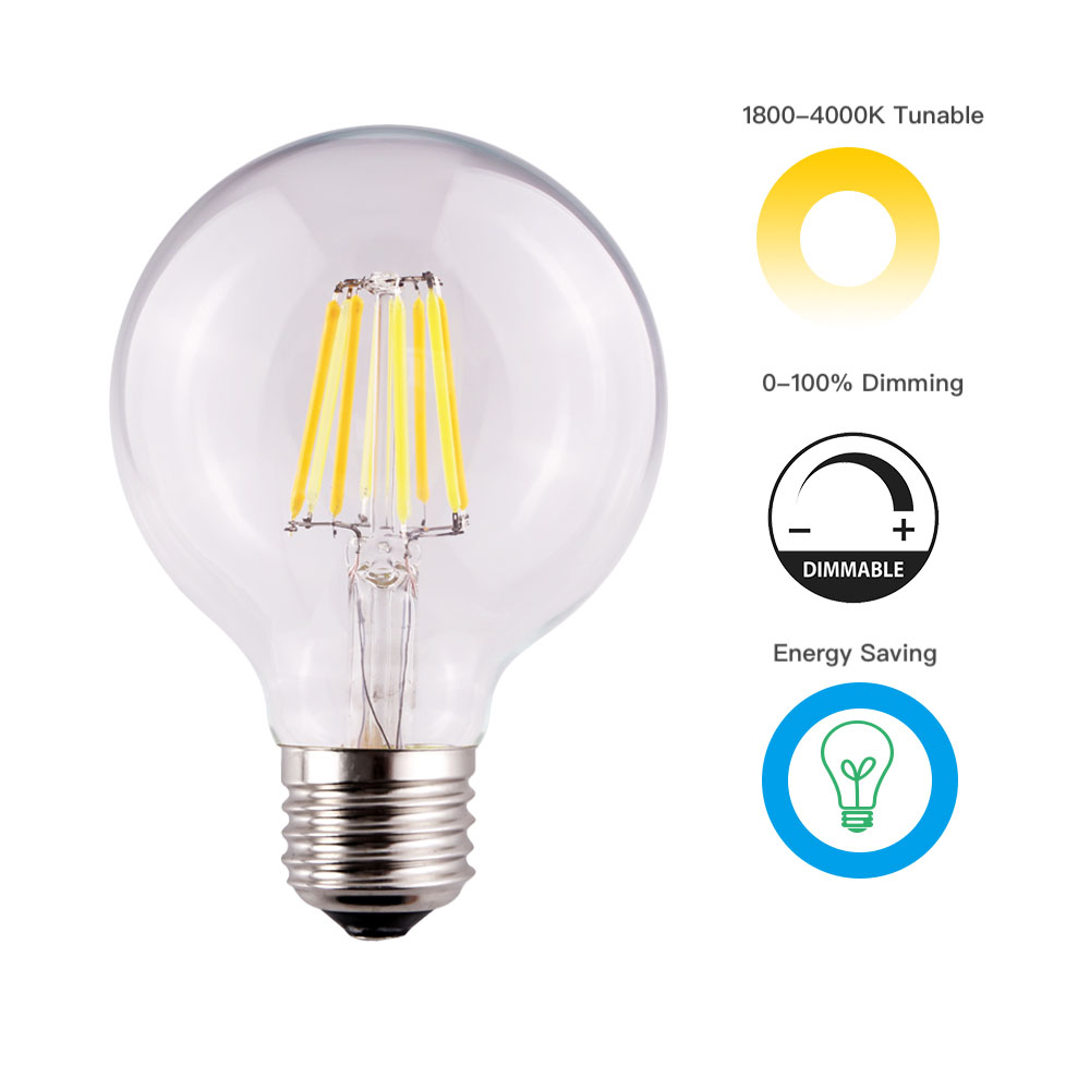 G80 G95 G125 2200-4000K CCT Tunable Filament LED Light